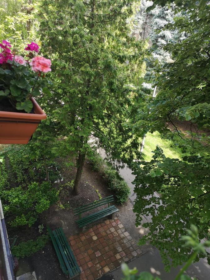 Natasa Apartman Oroshaza Exterior photo